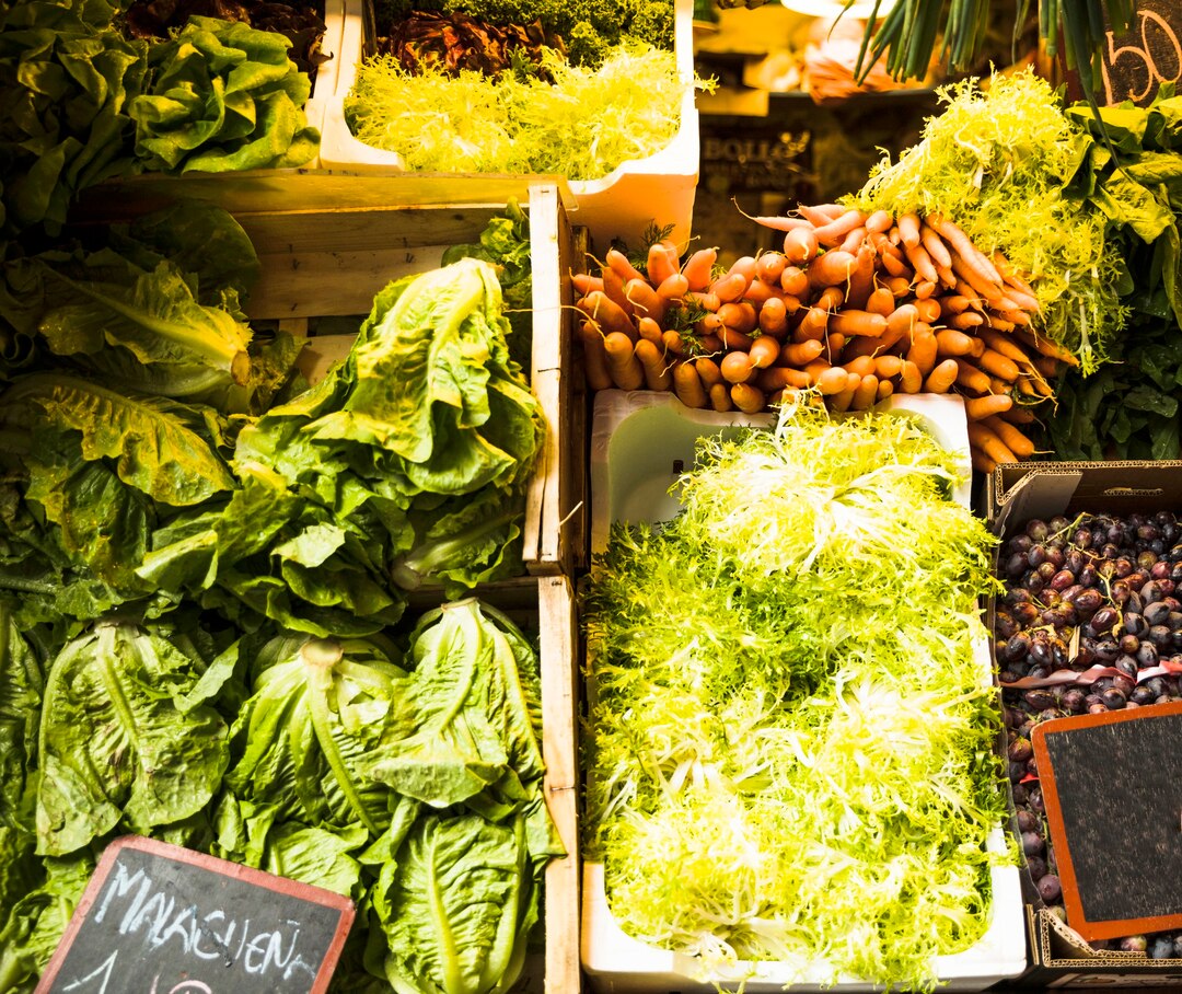 Vegetable Market Trends Kazakhstan